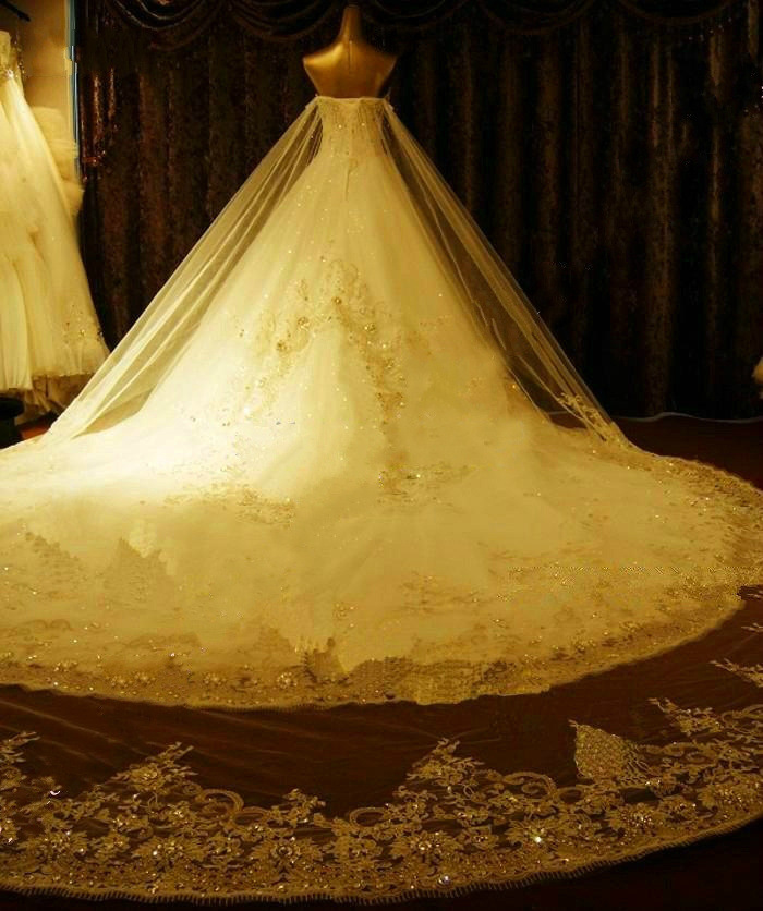 Lace Beaded Ball Gown Wedding Dress
