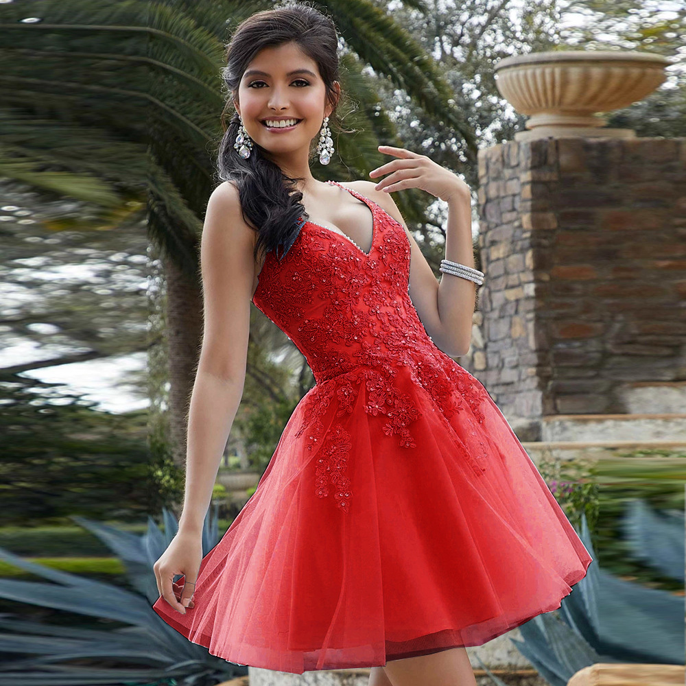 Applique V-neck Sleeveless Mini Dress