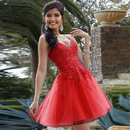 Applique V-neck Sleeveless Mini Dress