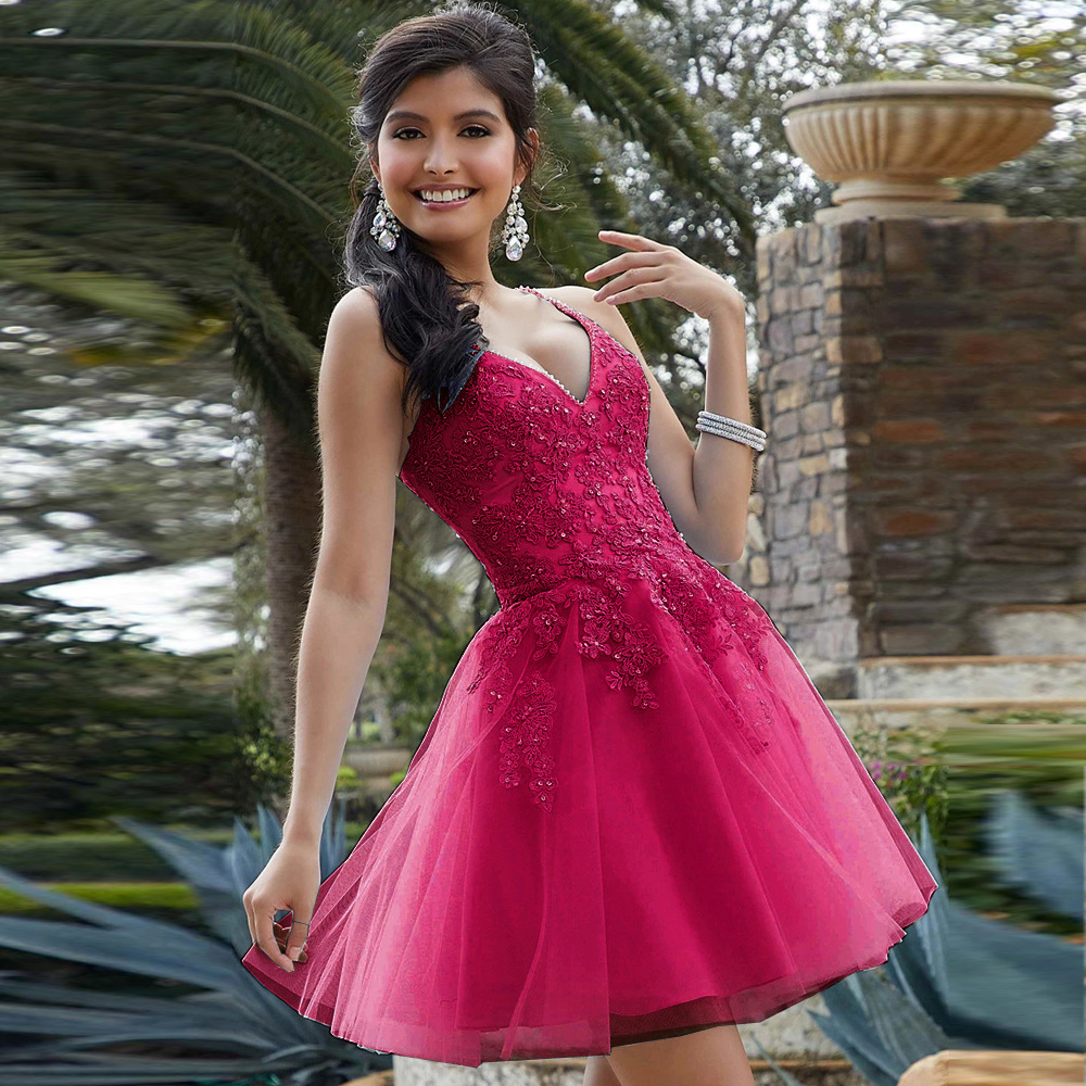 Applique V-neck Sleeveless Mini Dress