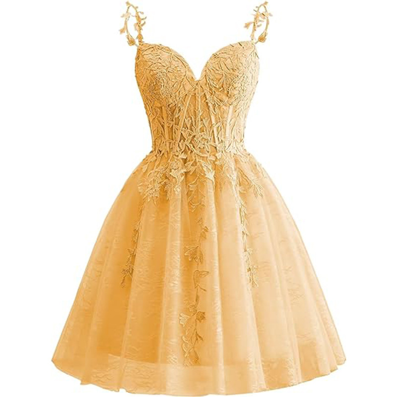 Corset Skater Tulle Appliques Homecoming Dress